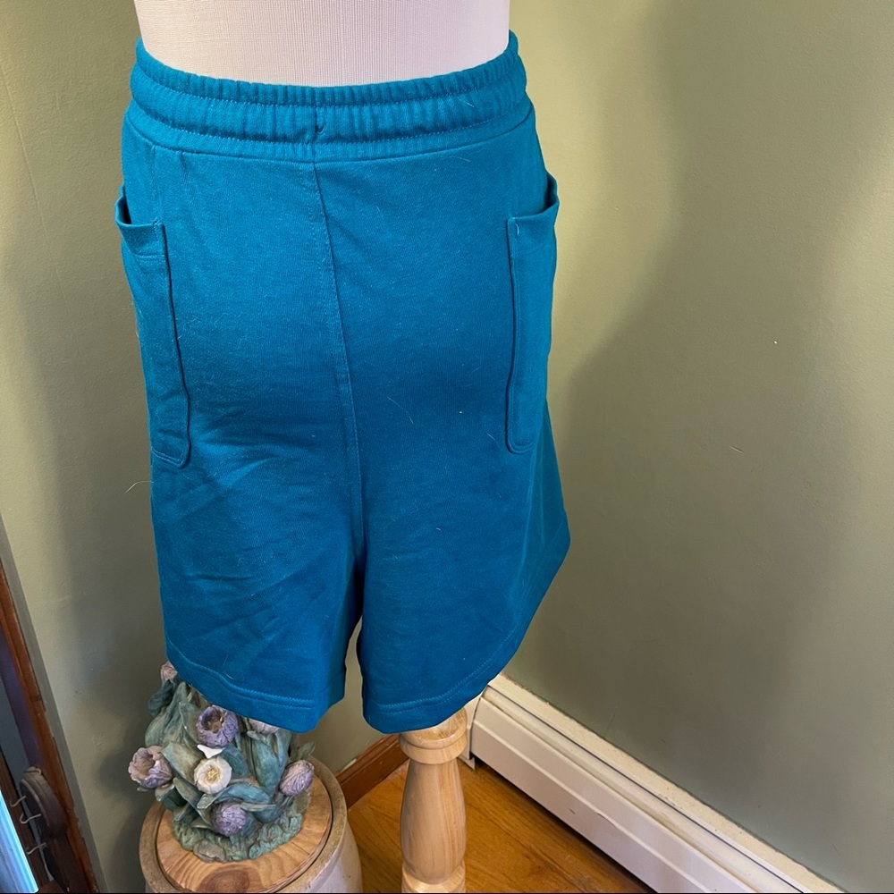 NWOT 4x (28W-30W) Terra & Sky shorts - Picture 4 of 8